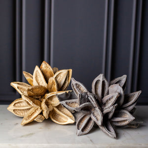 Dried Star Pod