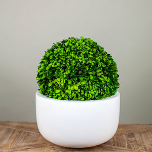 Sunny Planter- Matte White