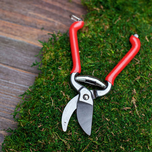 Indoor Garden Pruners