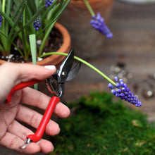 Load image into Gallery viewer, Indoor Garden Pruners
