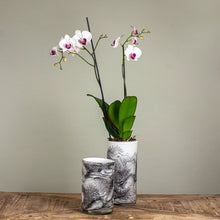 Load image into Gallery viewer, Marbled Glass cylinders
