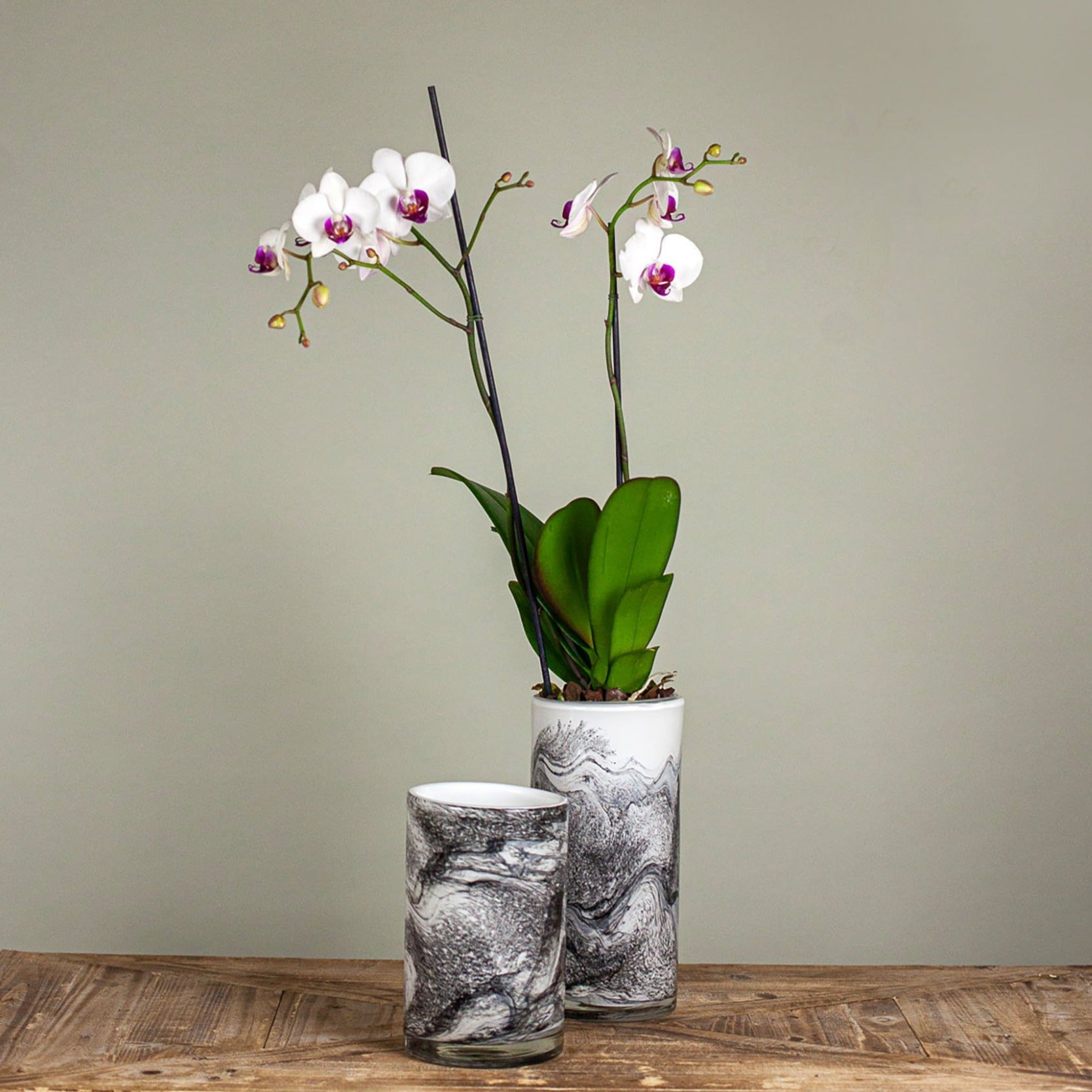 Marbled Glass cylinders