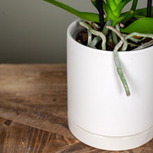 Load image into Gallery viewer, Romey Planter
