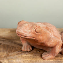 Load image into Gallery viewer, Rospo (Toad)
