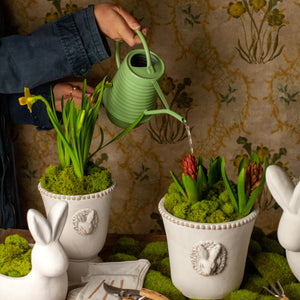 Green indoor watering can