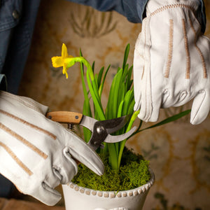 Indoor Gardening Set