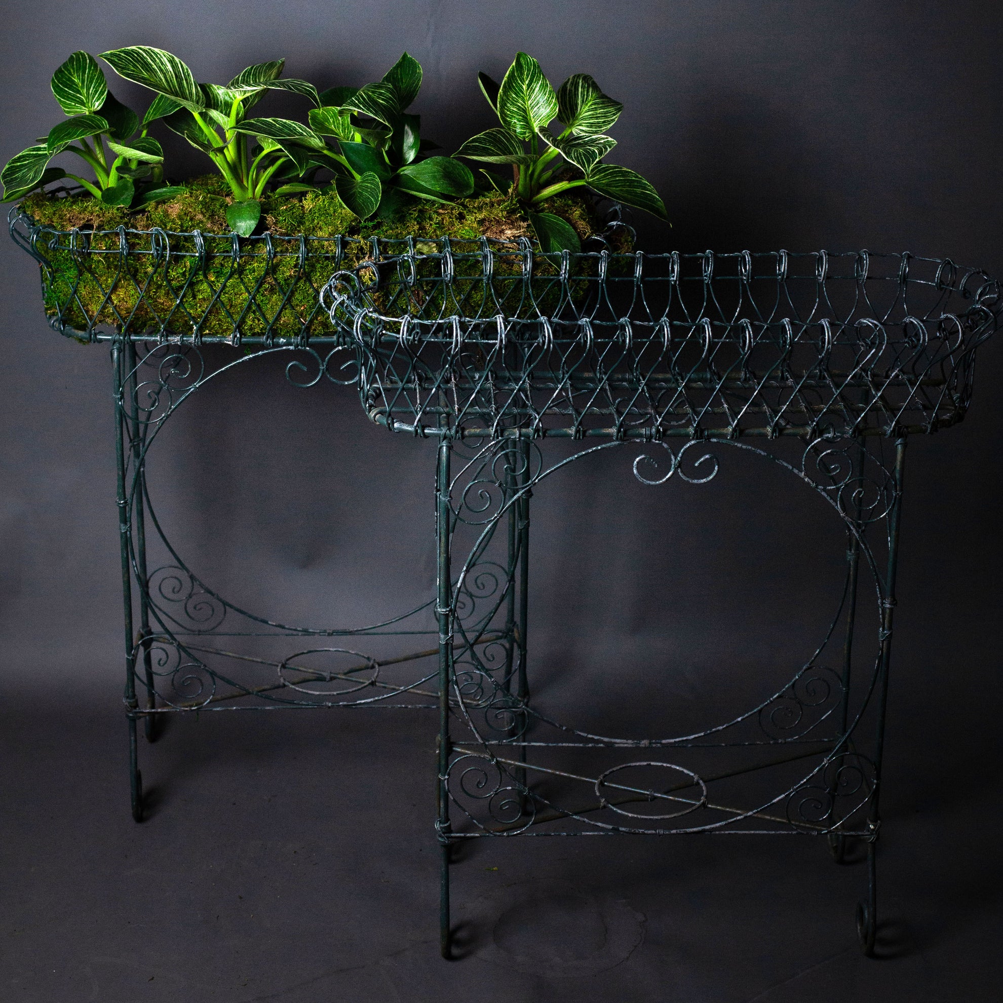 Vintage Green Wire Plant Stands