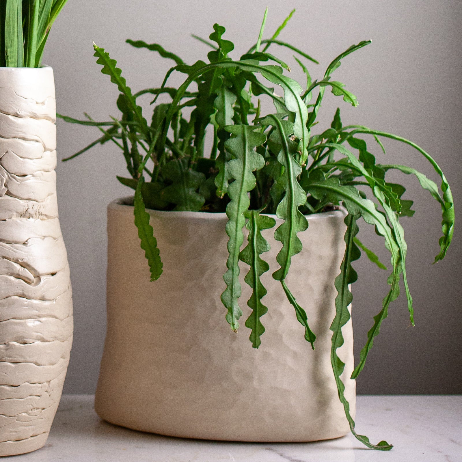 Handmade Porcelain Coil Oval Vase