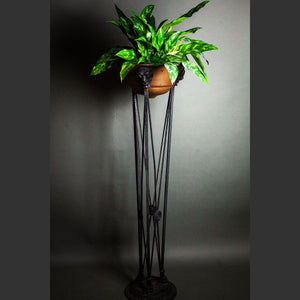 Neoclassical Style Iron and Copper Planter