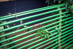 Contemporary French Bench