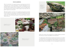 Load image into Gallery viewer, Sempervivum: A Gardener&#39;s Perspective of the Not-So-Humble Hens-and-Chicks
